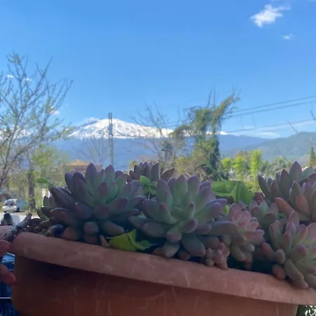 شقة Casa Ariadne جيارديني ناكسوس